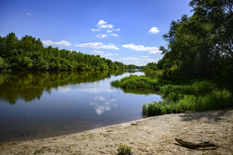 Река Медведица Саратовская область