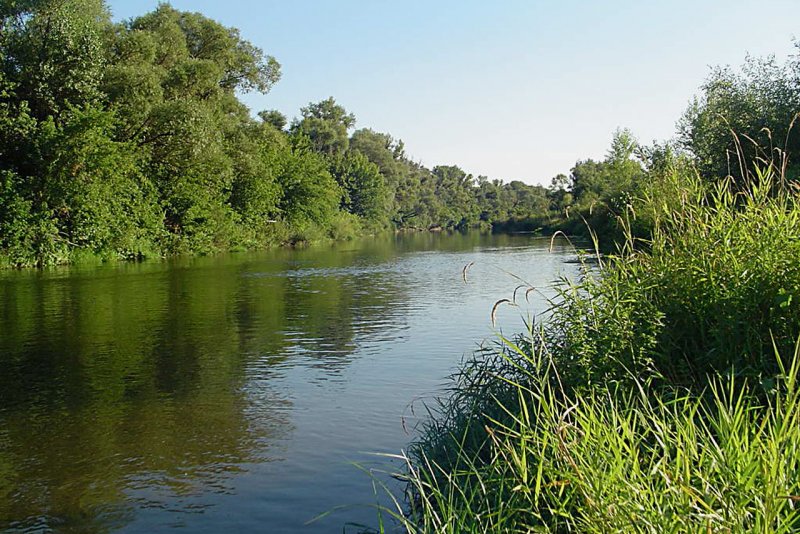 Река Терса Волгоградская область