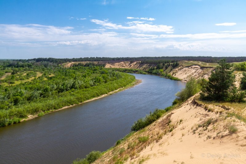 Река Медведица Волгоградская обл