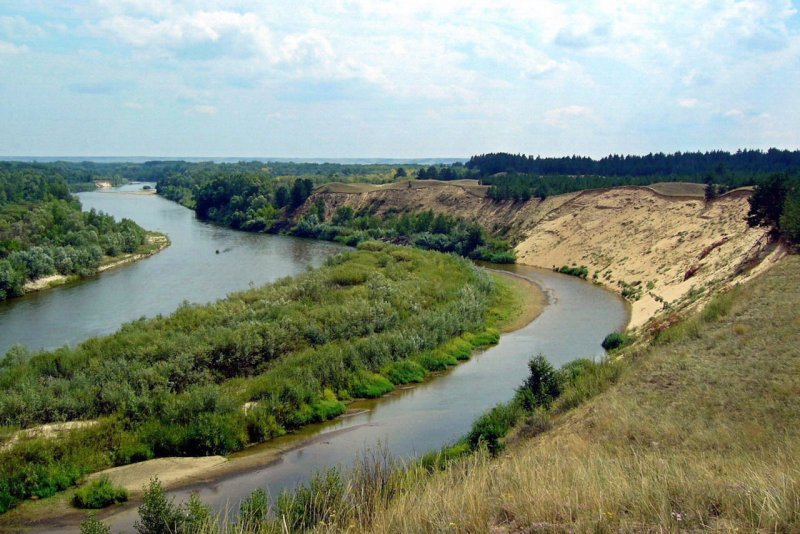 Река Медведица Волгоградская область