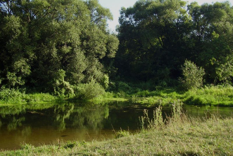Река Медведица Петровск Саратовская область