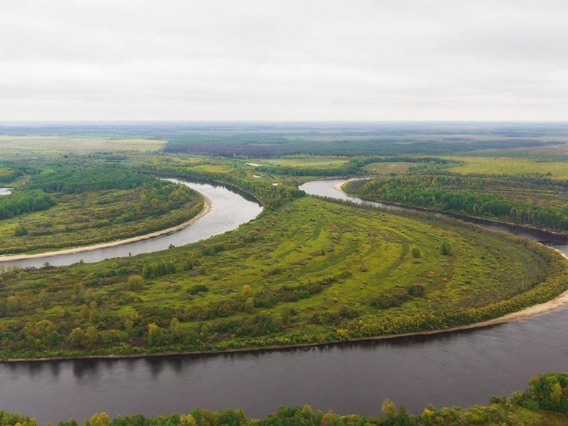 Река Васюган Томская область