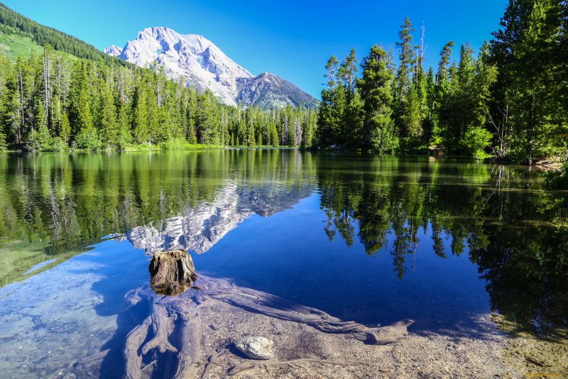 Природа река озеро лес горы