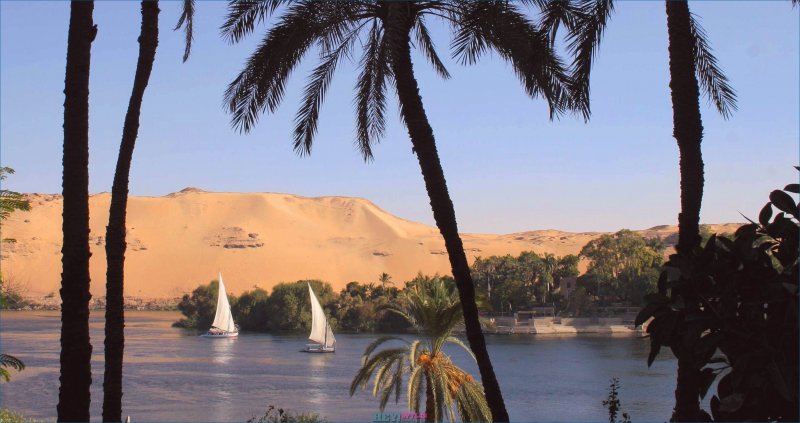 Белый Нил Египет