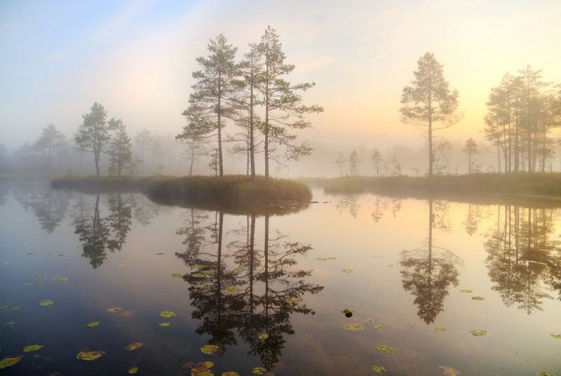 Туманное озеро в Ленинградской области: рыбалка, путешествие, отдых
