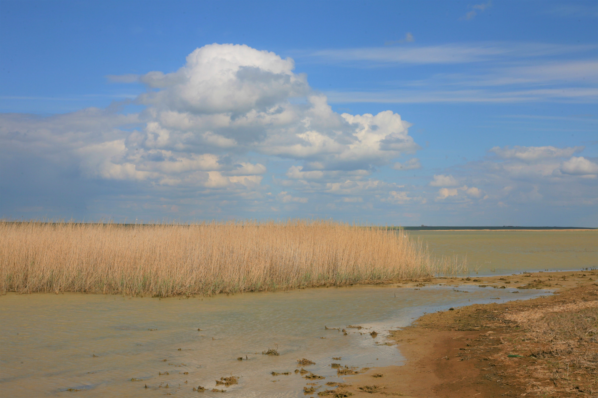 озеро маныч гудило в ростовской области