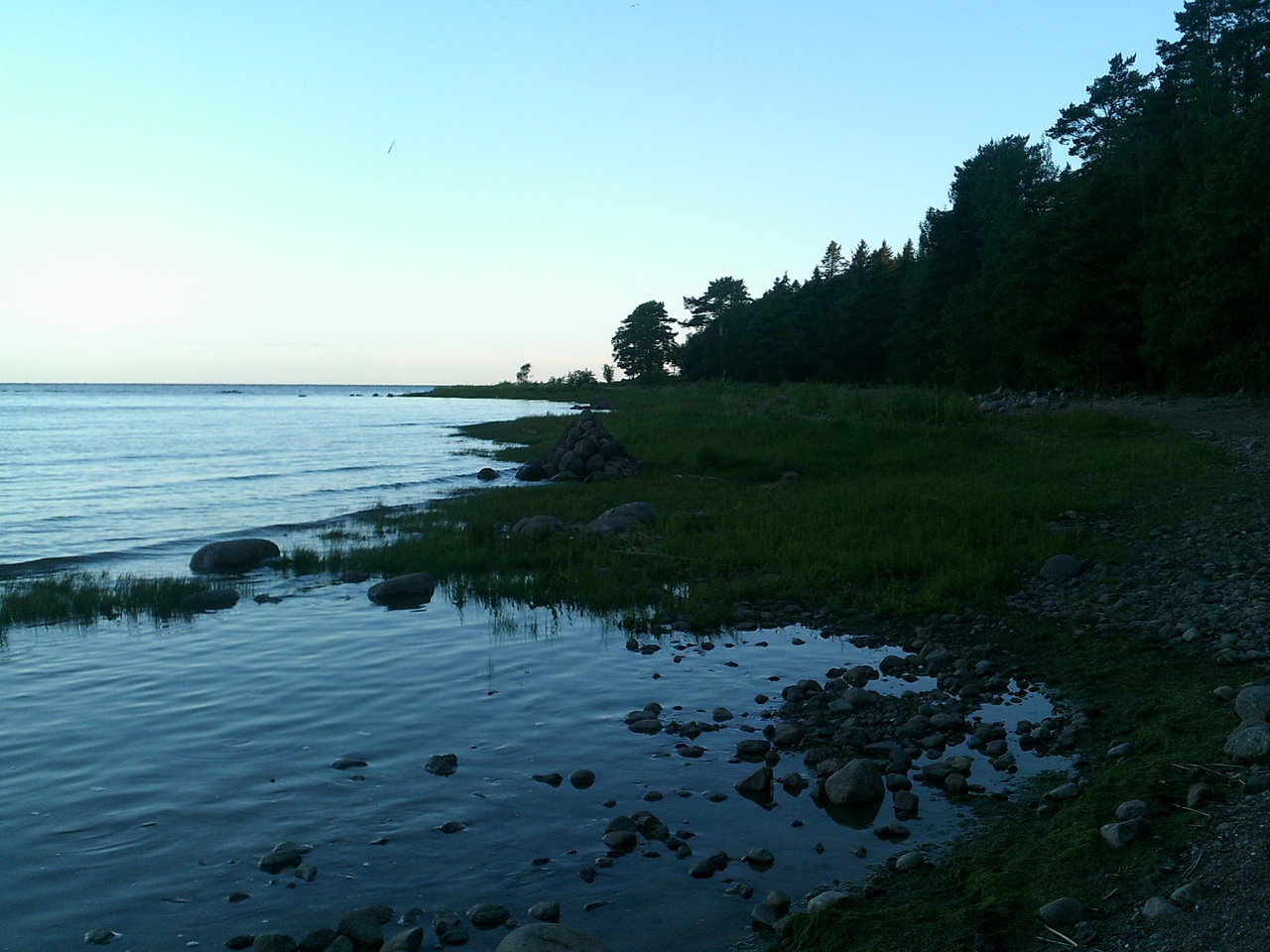 Пляж Тарховка финский залив