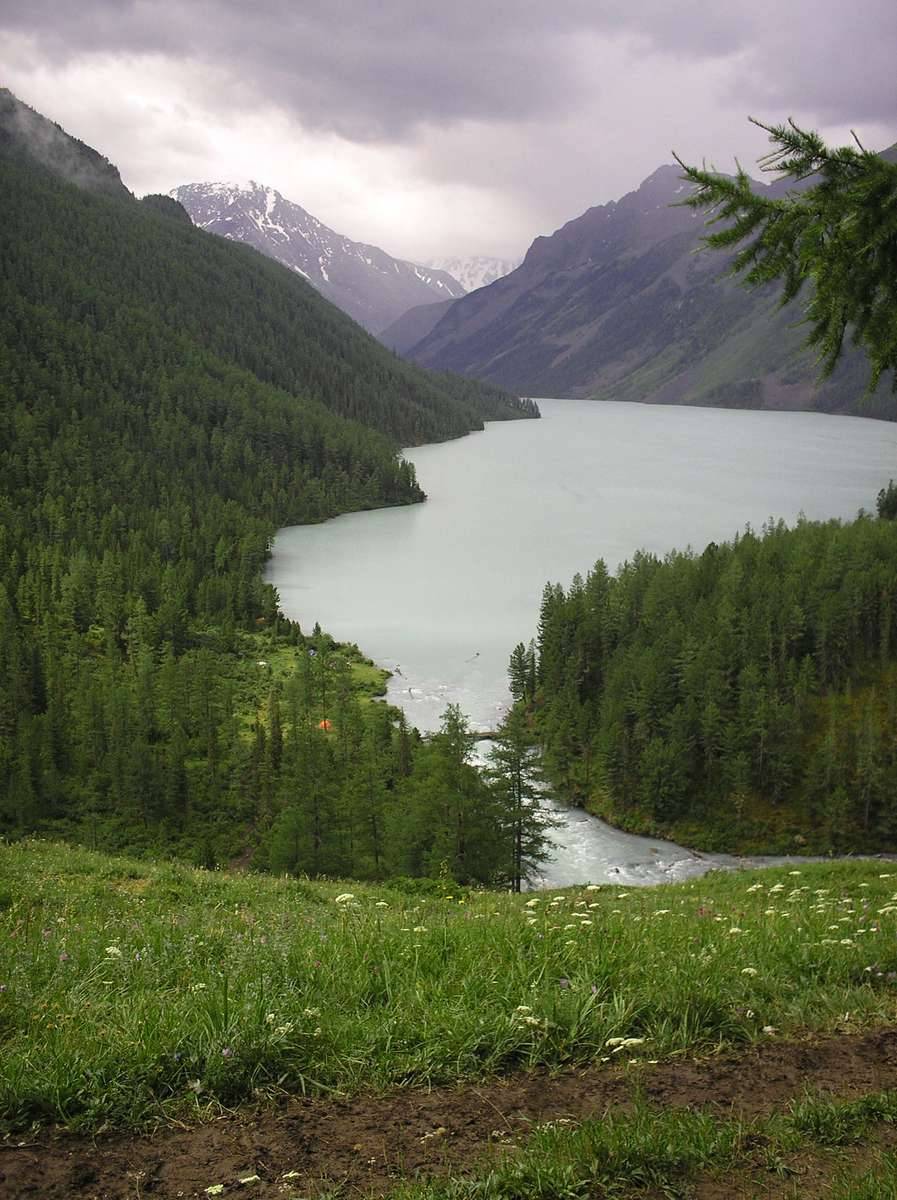 Кучерлинское озеро Алтай фото