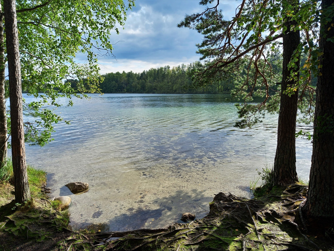 озеро тарасовское ленинградская область
