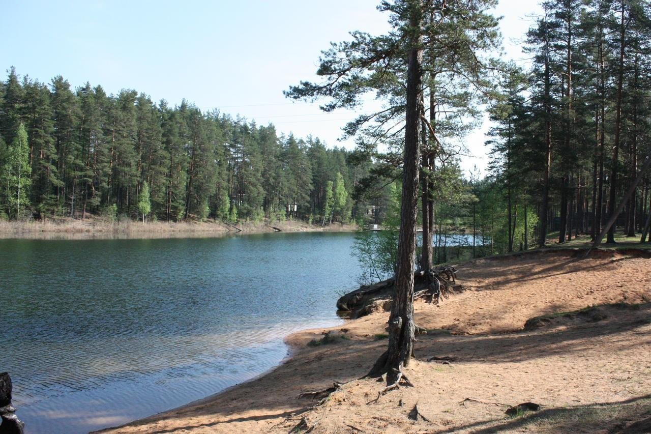Шалово зеленое озеро Лужский