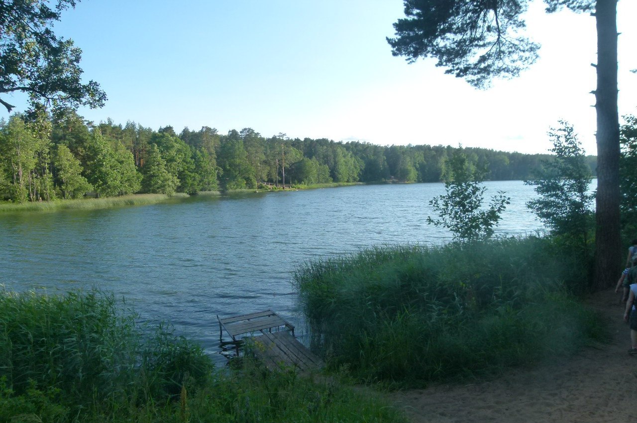 Озеро Омчино Лужский район