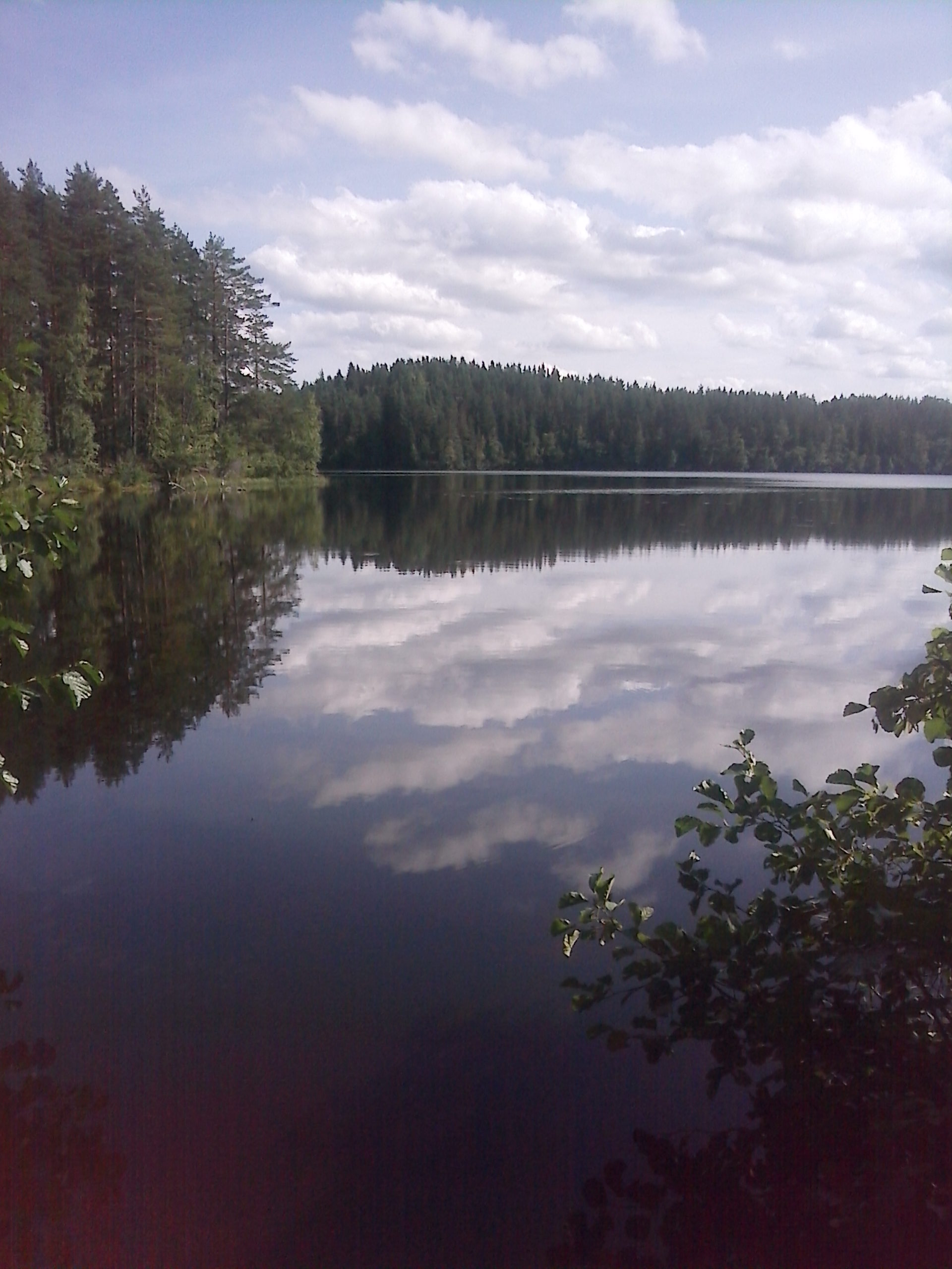Большое Луговое озеро Ленинградская область