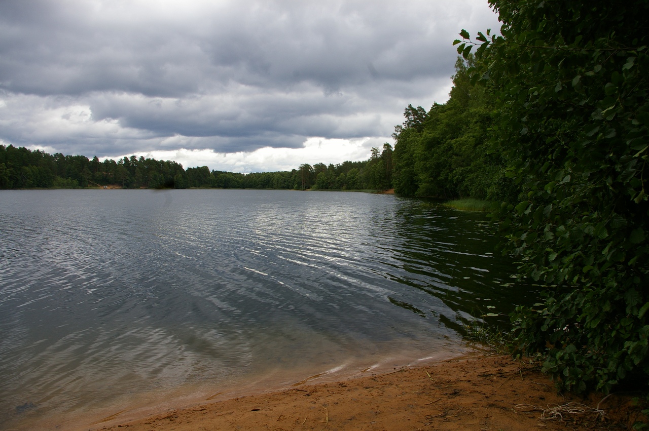 Озеро зеленое Лужский район