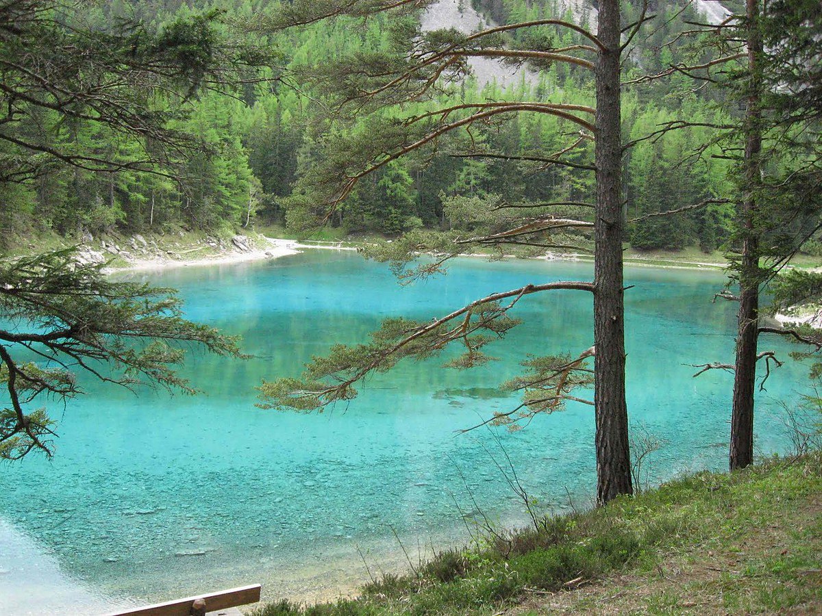 Луговых озерах. Озеро зеленое Лужский район. Шалово зеленое озеро. Зеленое озеро Луга Шалово. Грюнер Зее Австрия озеро.