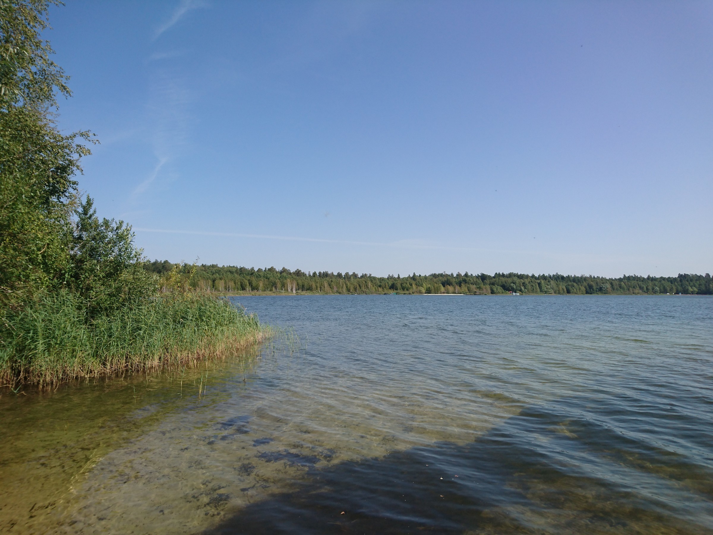 Белое озеро Николаевский район Ульяновская область