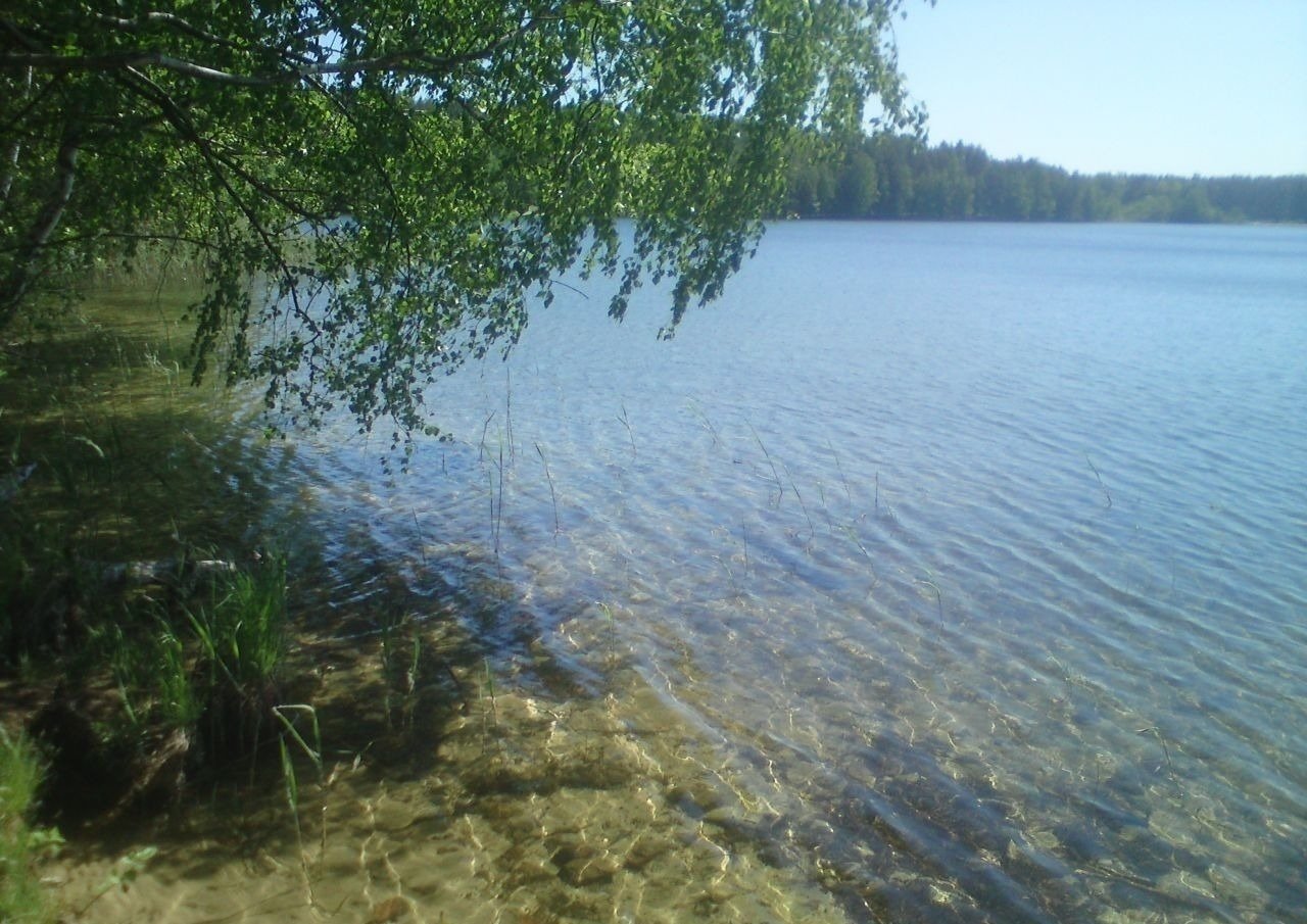 Белое озеро Шатура