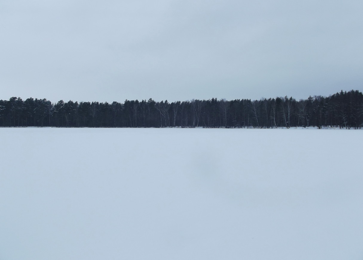 белое озеро воскресенский район московская область