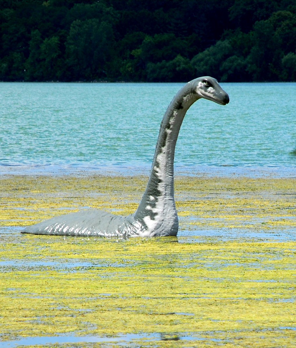 Озеро лохнесское чудовище