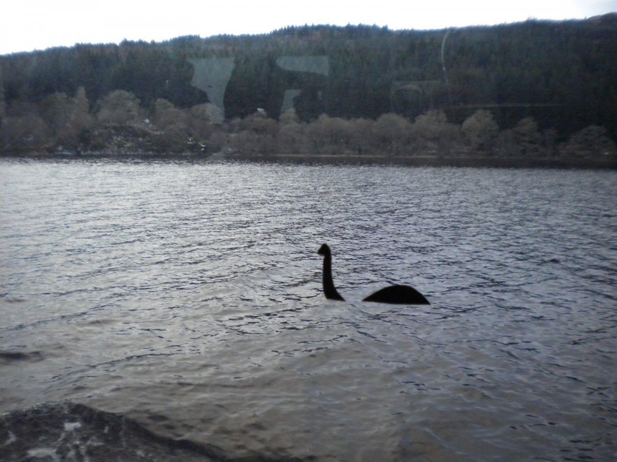 Озеро лохнесское чудовище