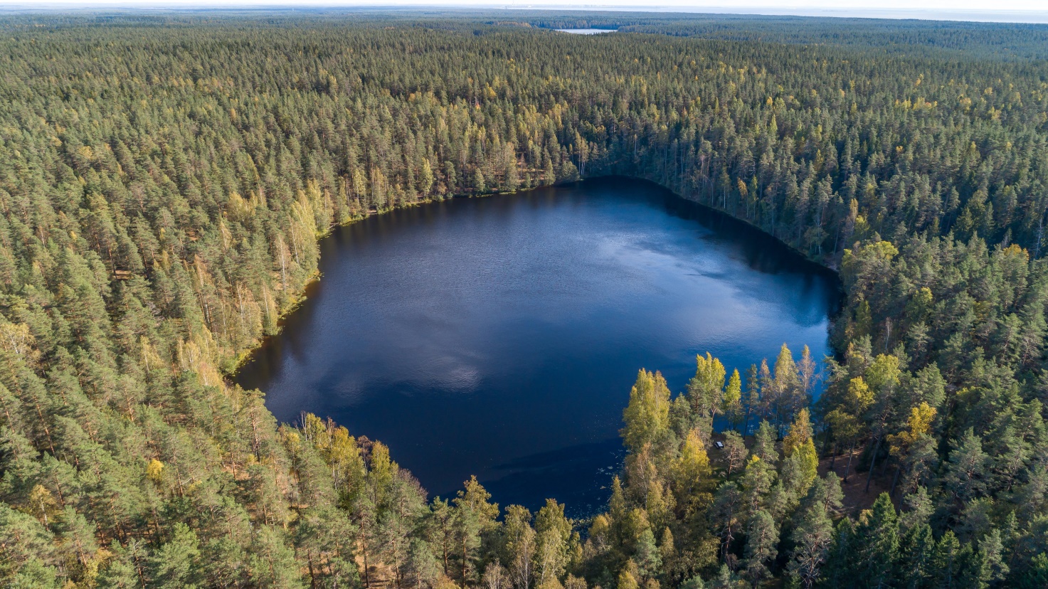 Государственный природный заказник «озеро Щучье»