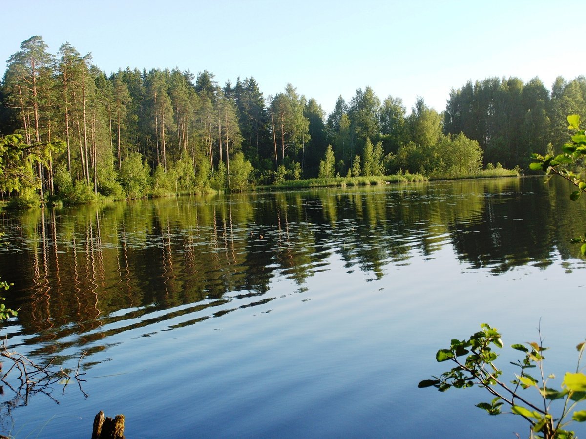 Щучье озеро Комарово