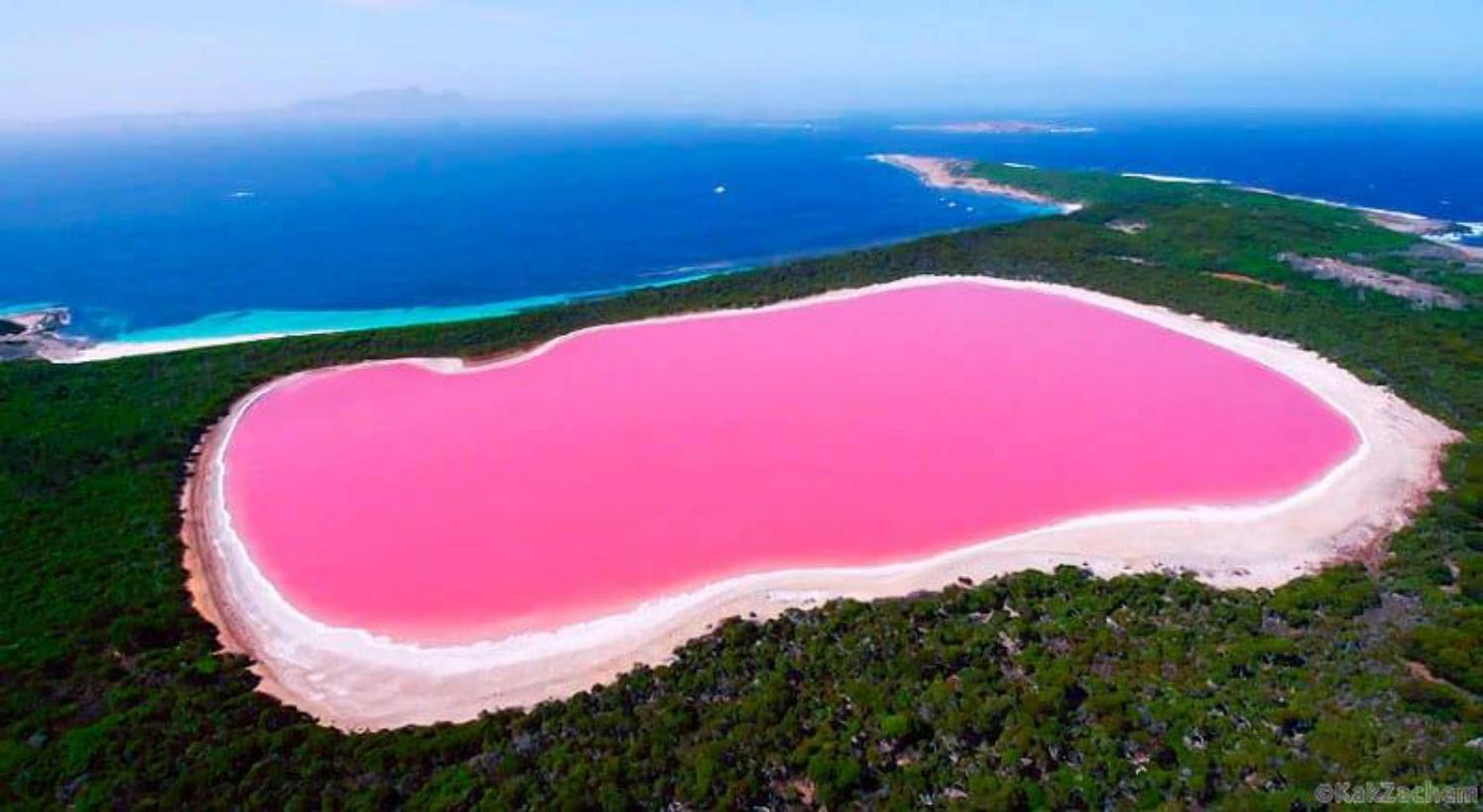 2 острова в австралии. Розовое озеро Хиллер Австралия. Озеро Хиллер (hillier), Австралия. Озеро Хиллер (остров Миддл). Озеро Хиллер Австралия фото.