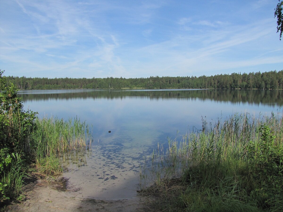 Озеро Свято Навашинский район
