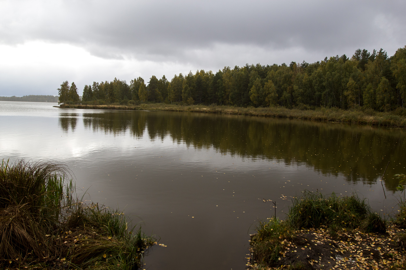 Великое озеро (Рязанская область, Северное)