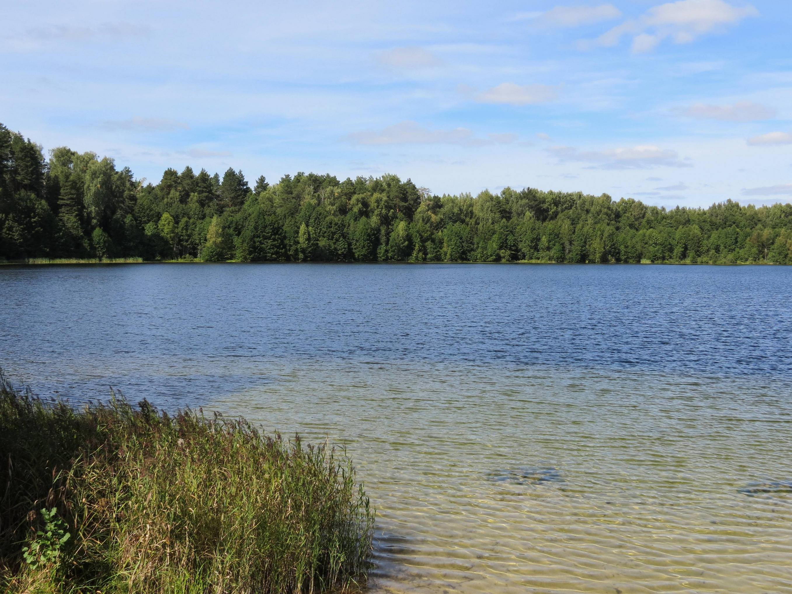 озеро святое в рязанской области
