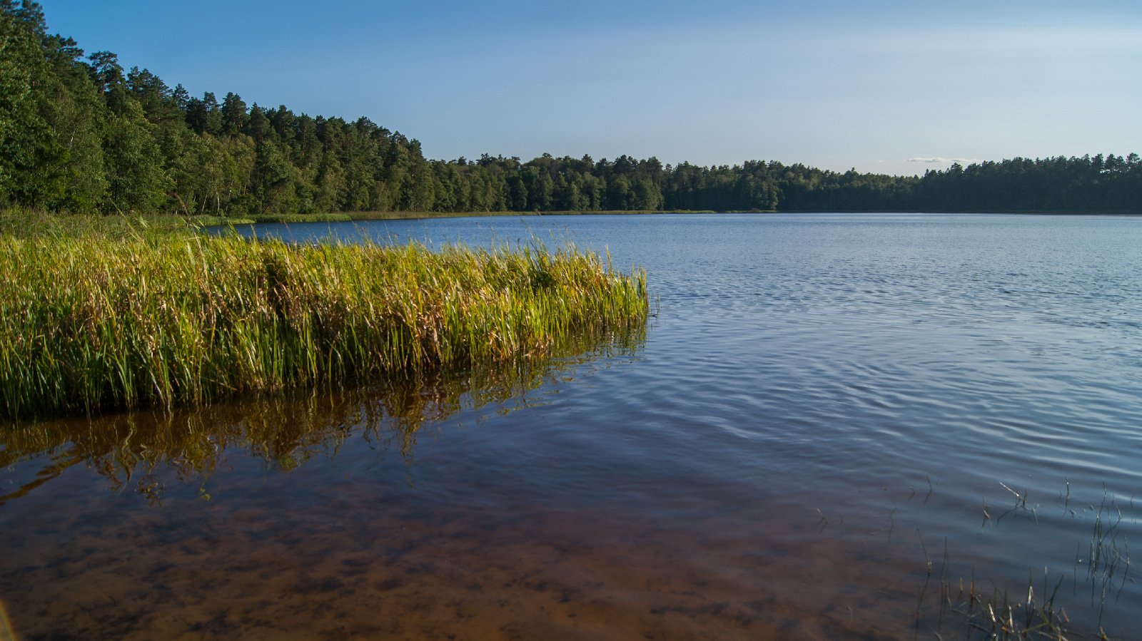 шиловский район озеро святое