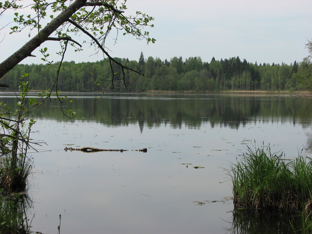Святое озеро в рязанской области шиловский район фото