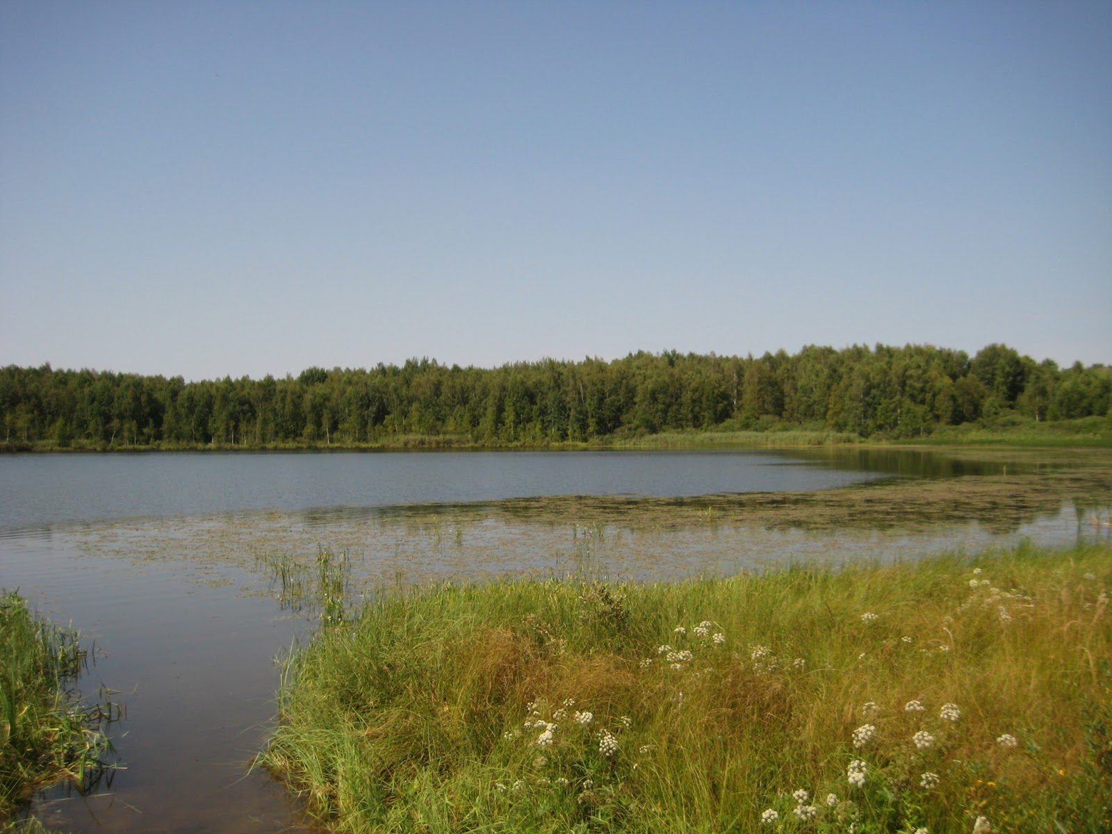 святое озеро шиловский район рязанская