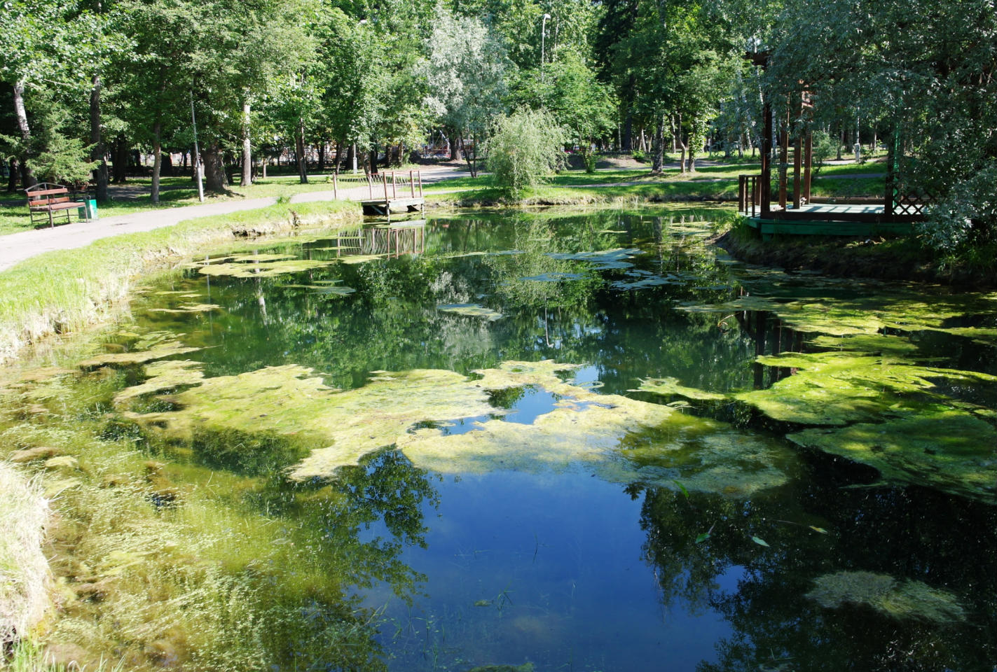 Городской сад Томск озеро