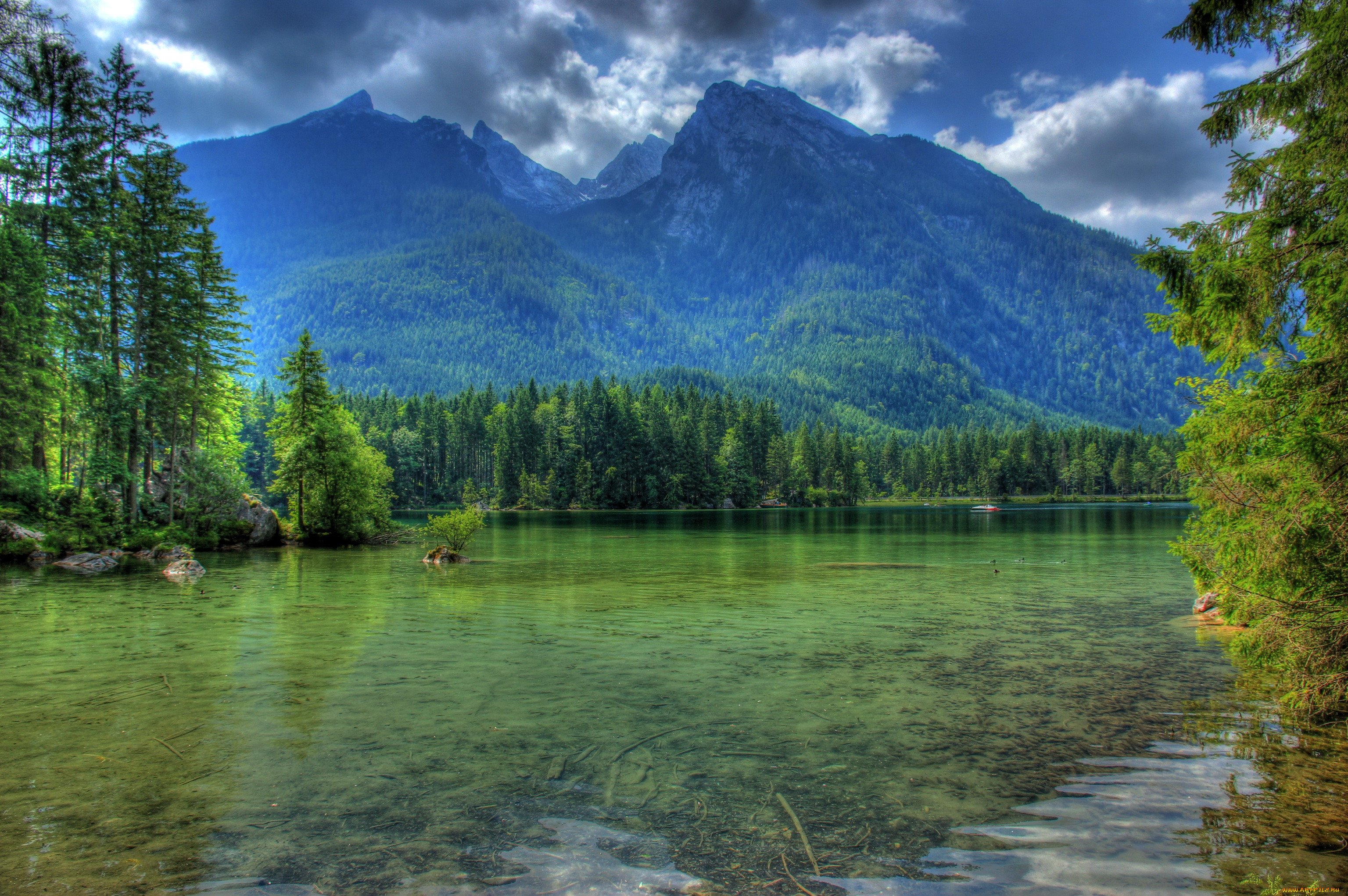 Лес и горы у озера