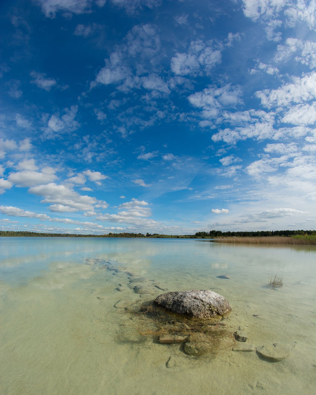 Озеро донцо в ленинградской области фото