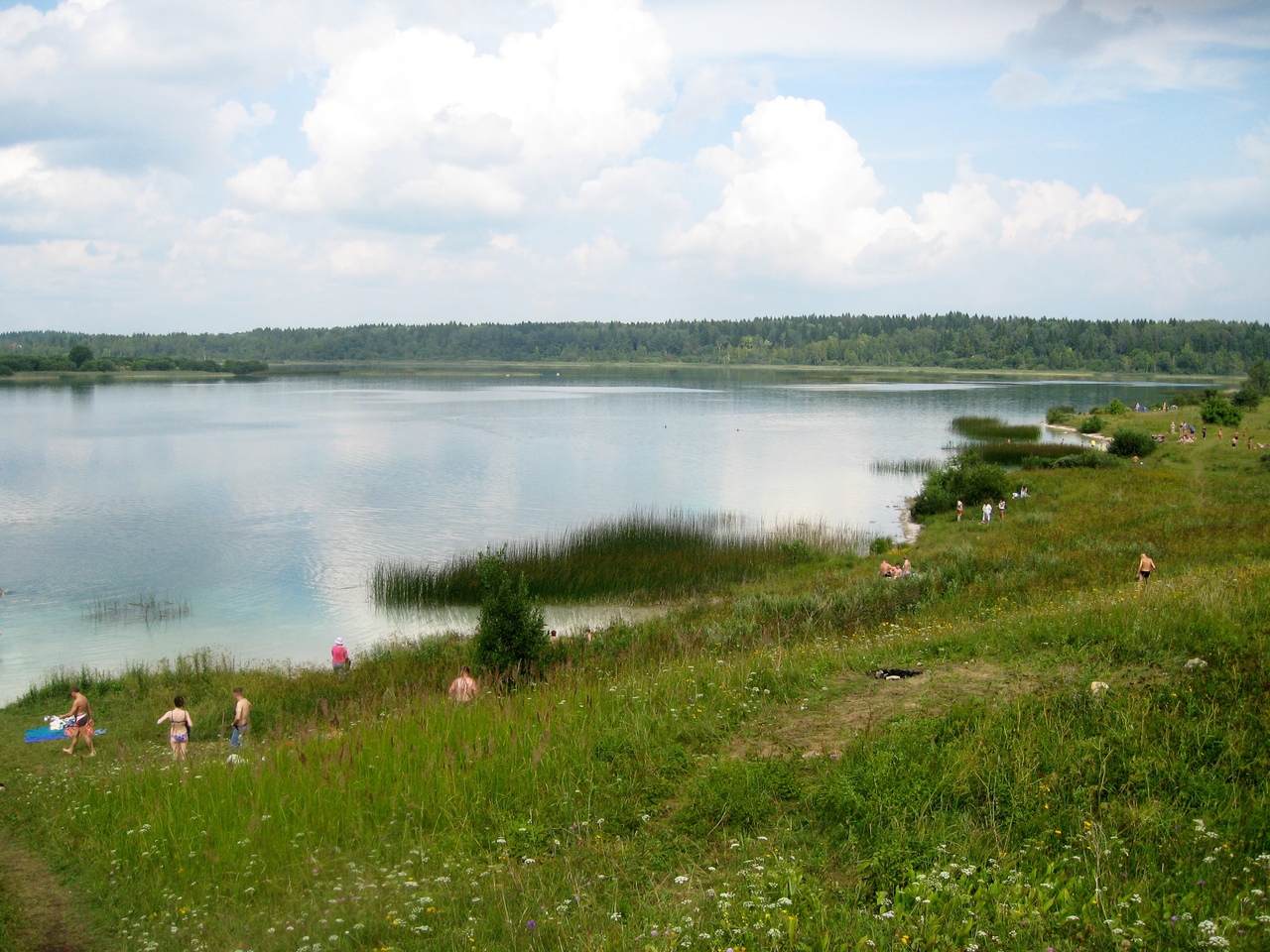 Деревня донцо ленинградская область озеро