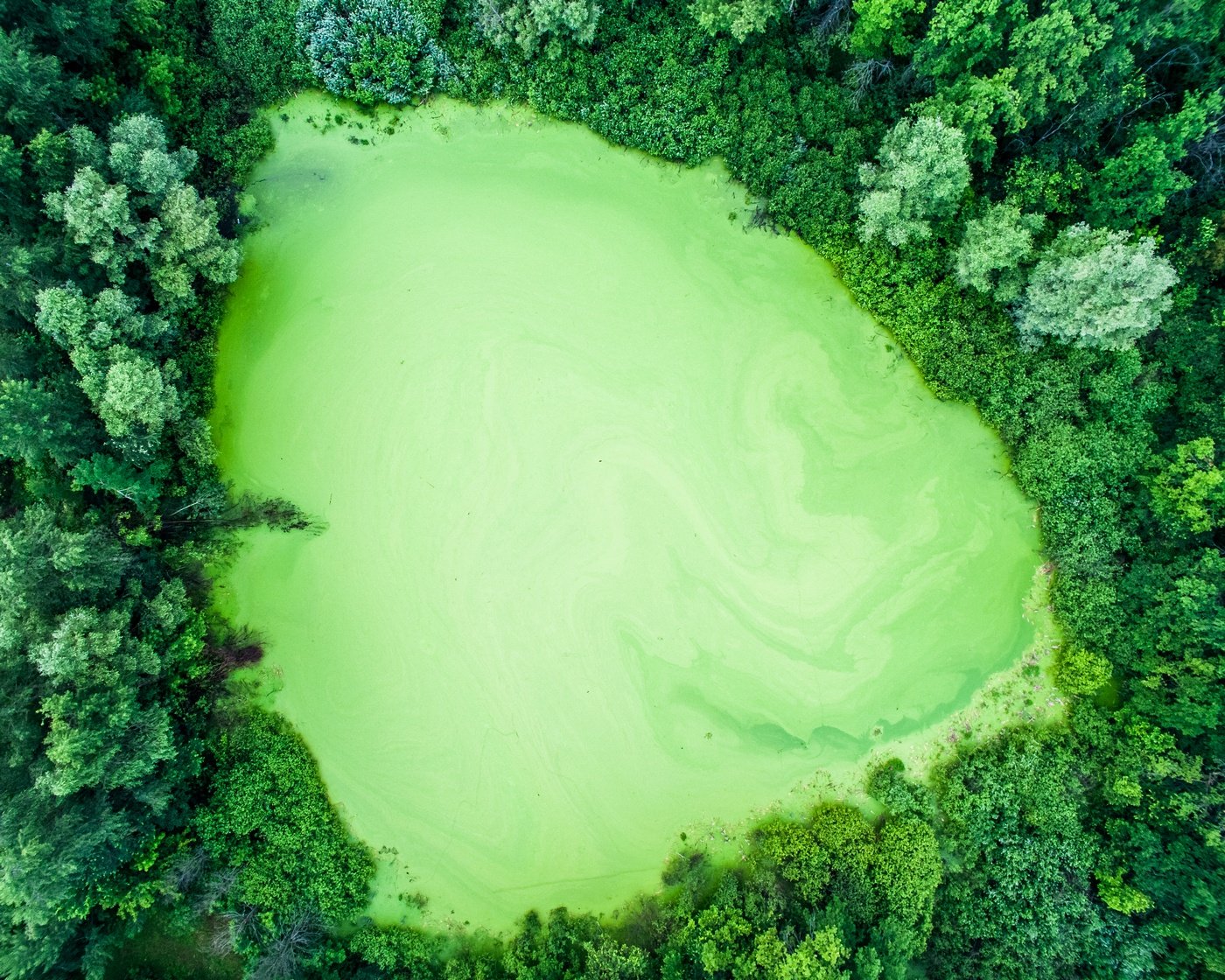 Зеленое озеро Самара