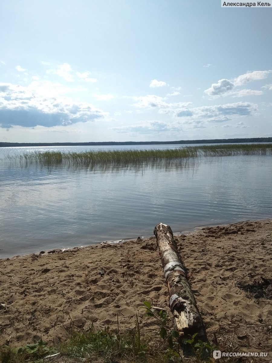 Озеро Кавголовское Ленинградская