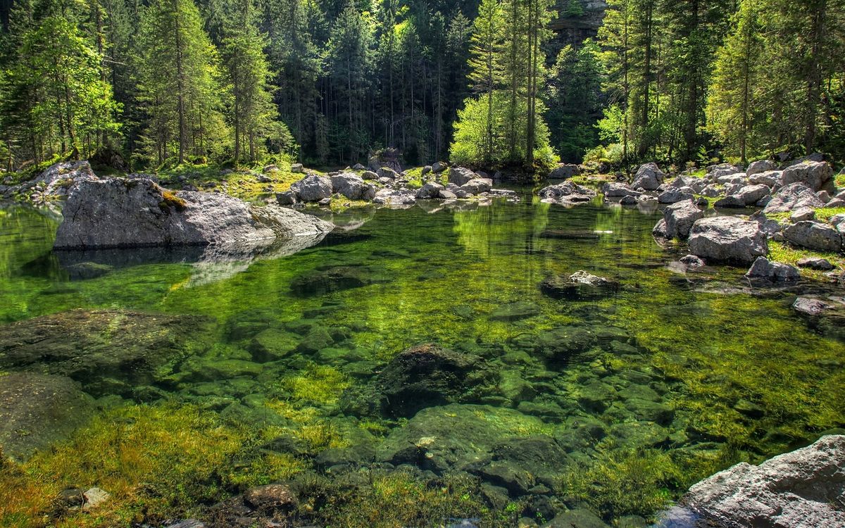 Камни река озеро лес