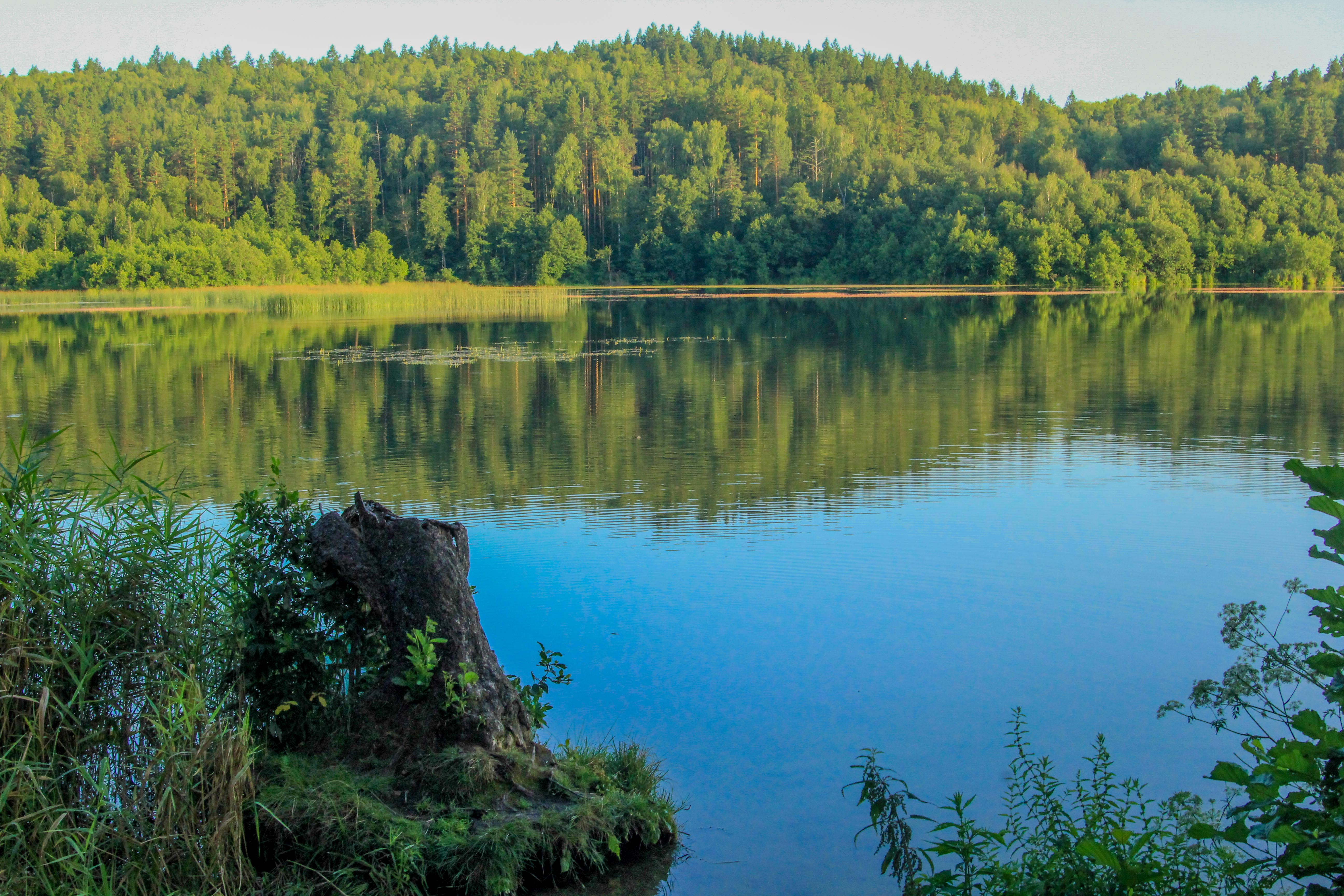 Озера в ульяновске