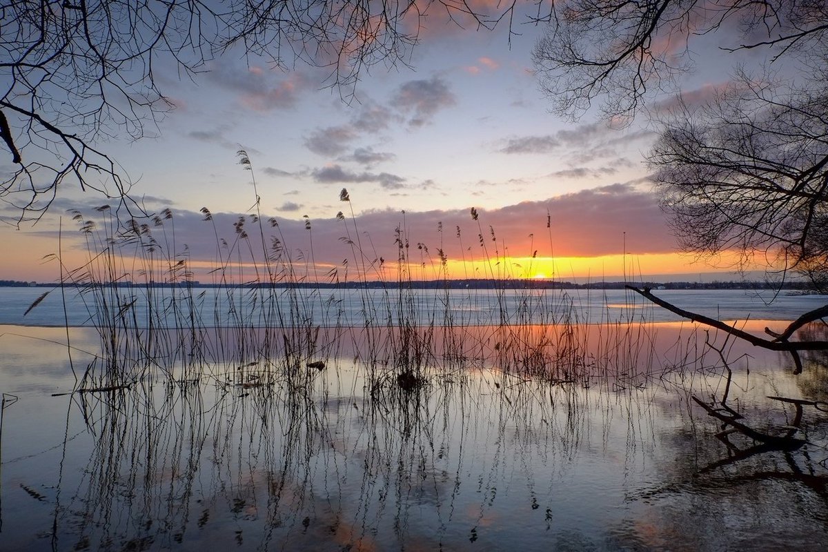 Озеро Сенеж зима Солнечногорск