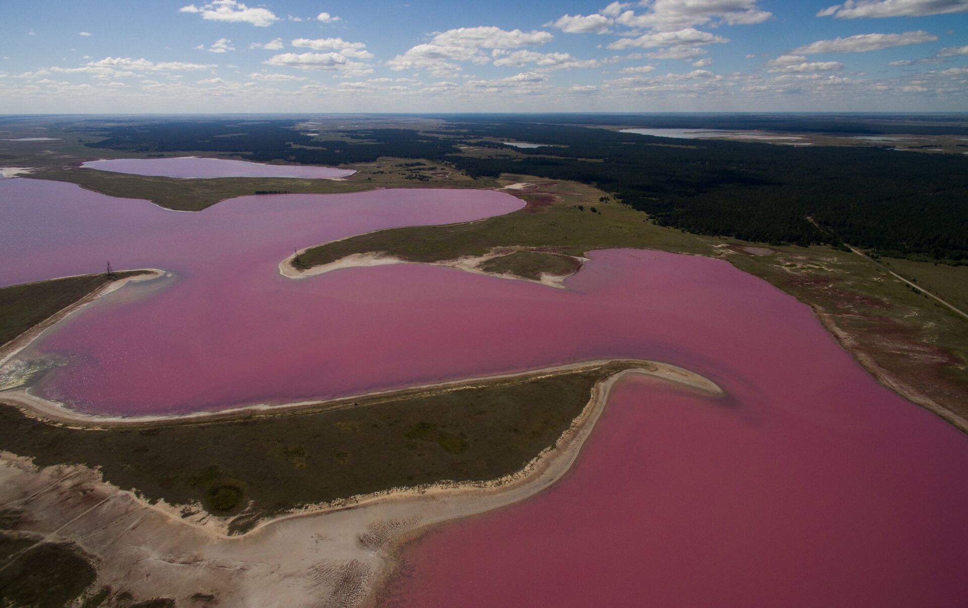 Розовое озеро на алтае