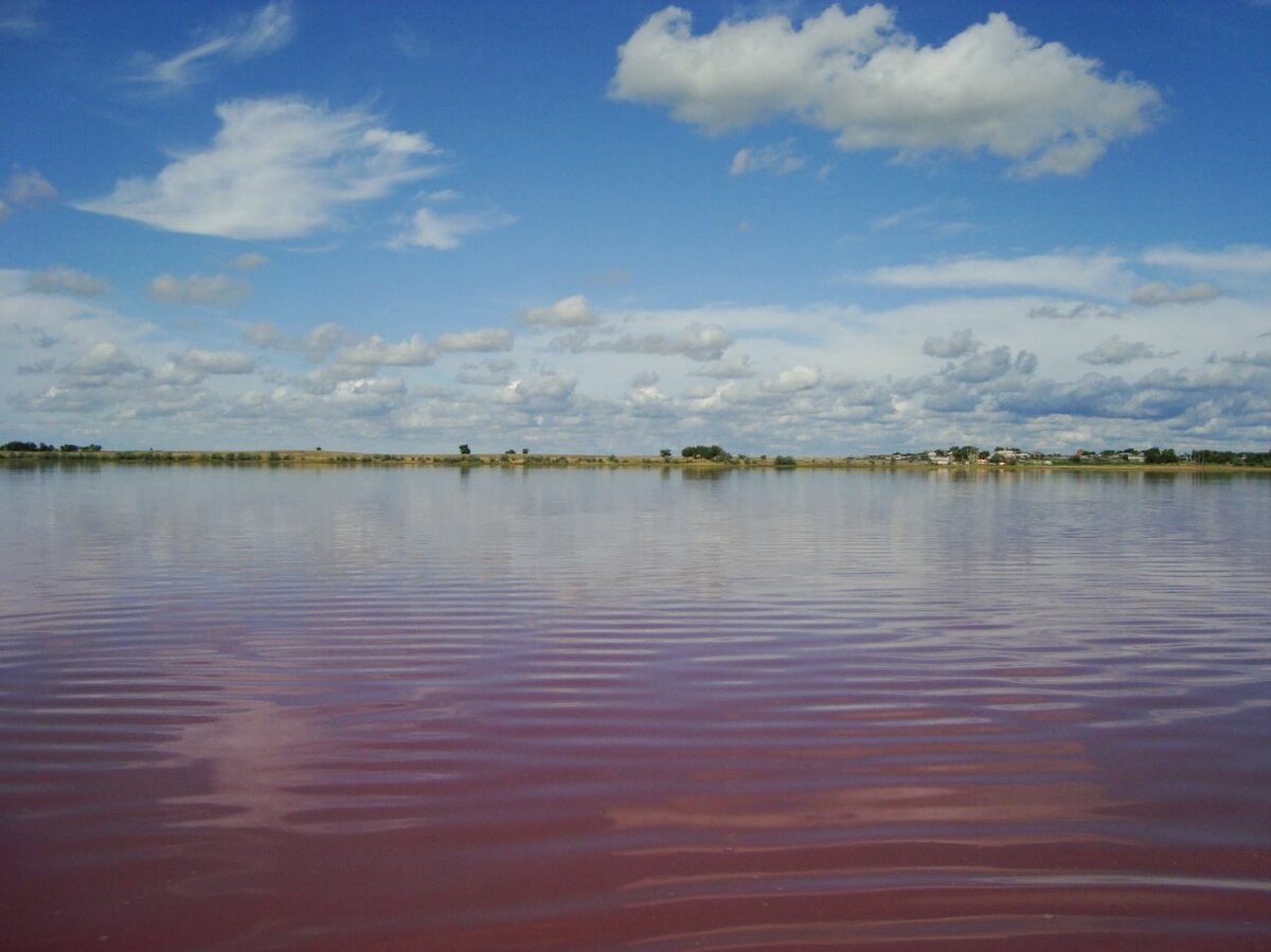 Архангельское озеро Алтайский край