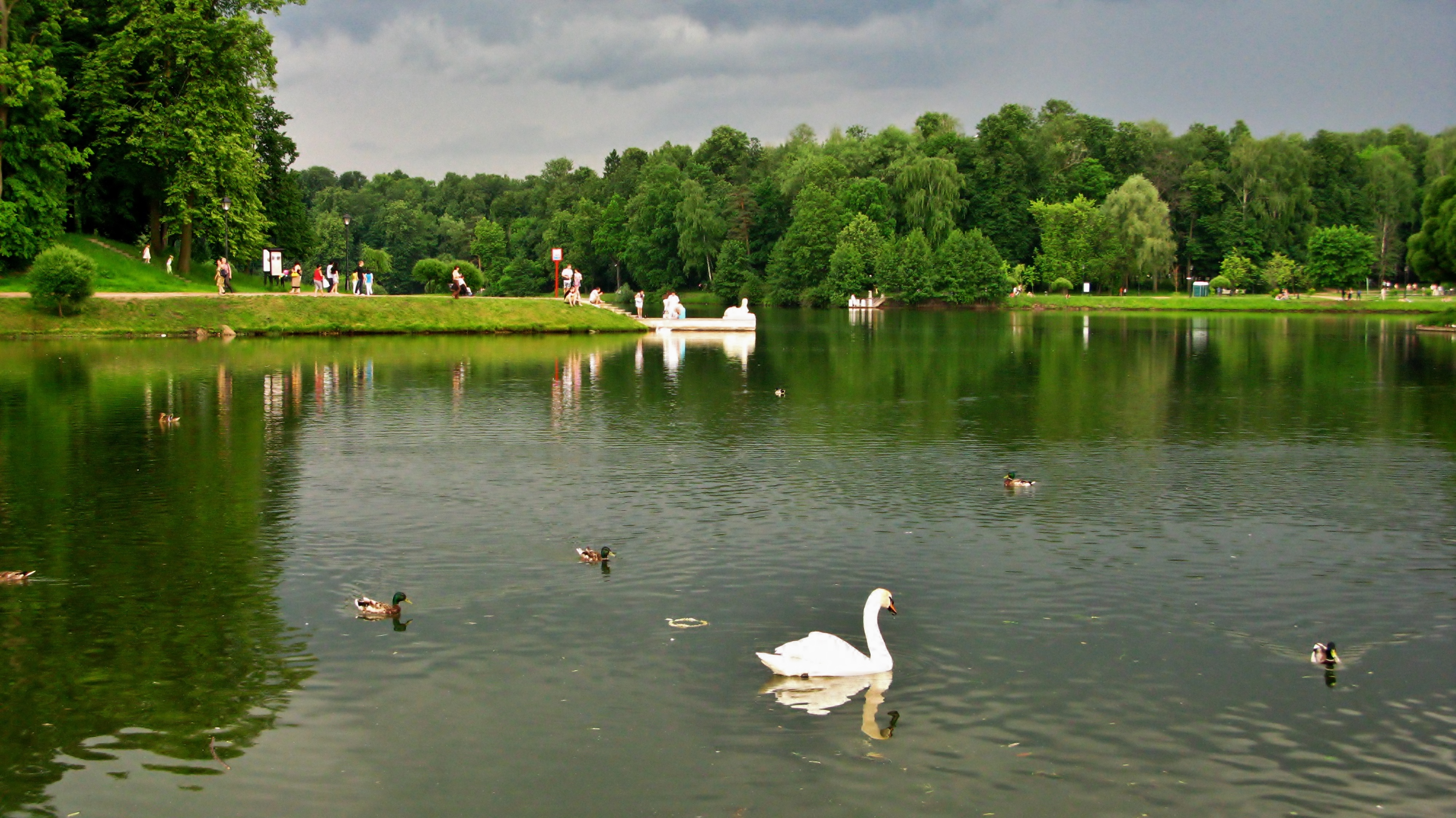 Озера в парках