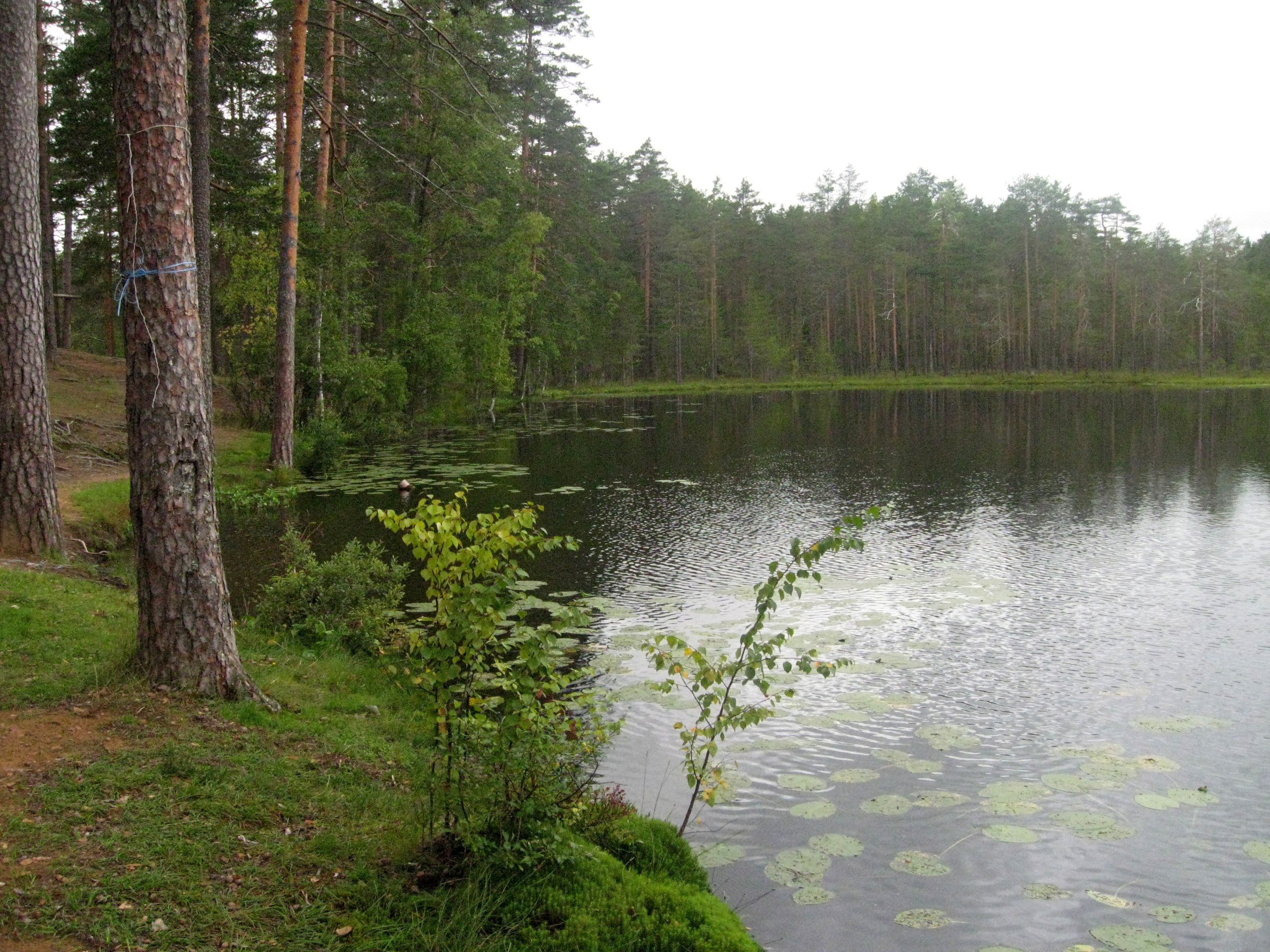 Озеро большое Борково Орехово