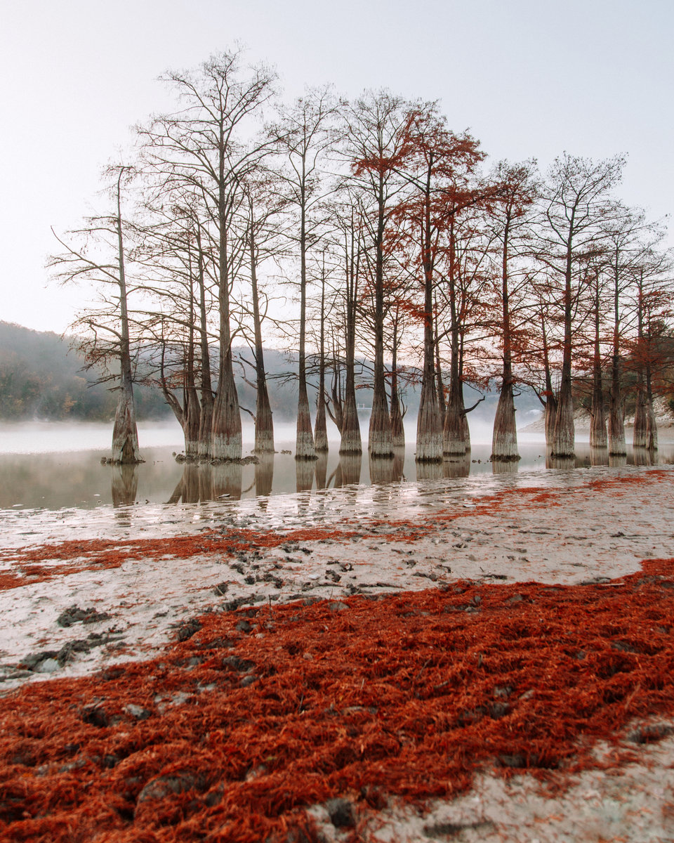 кипарисовое озеро в анапе зимой