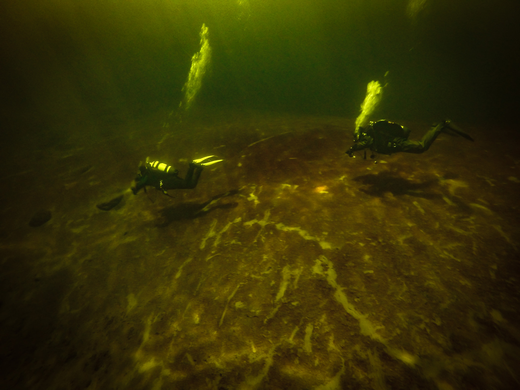 Лес мертвецов Телецкое озеро под водой