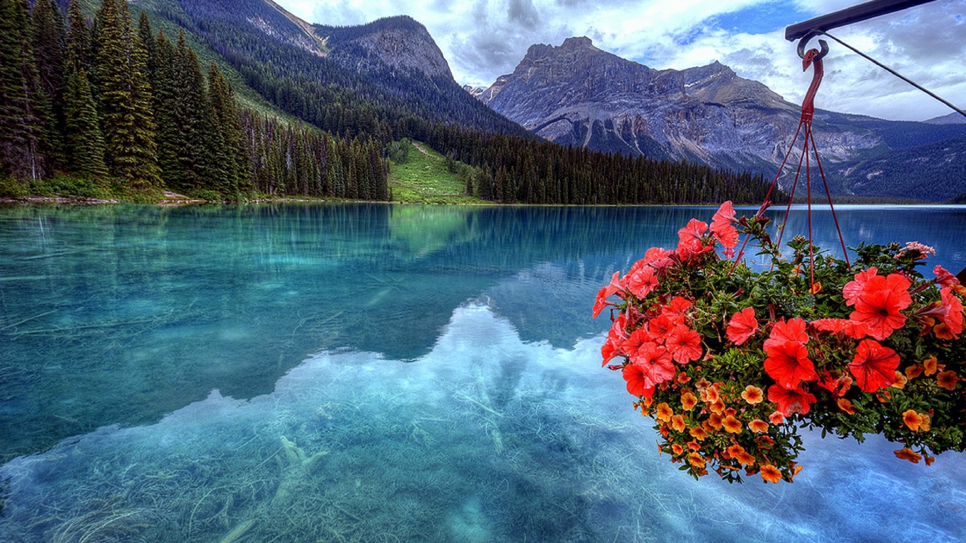 Озеро с цветами