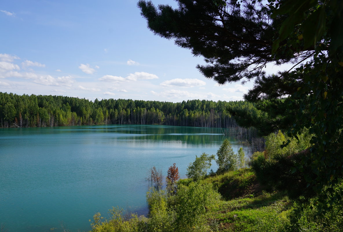 Голубое озеро Подмосковье Золотово
