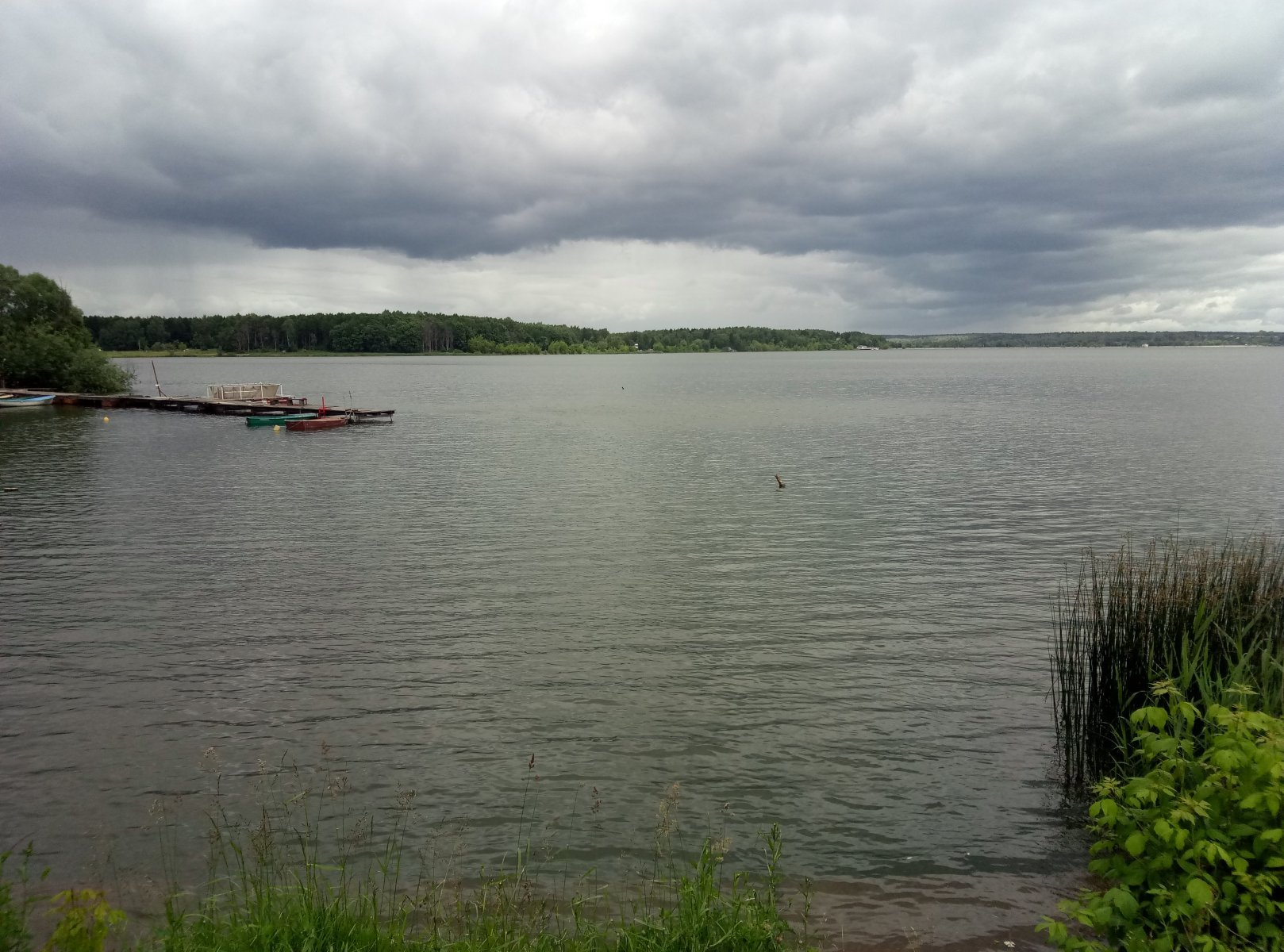Озеро Сенеж Тимоново
